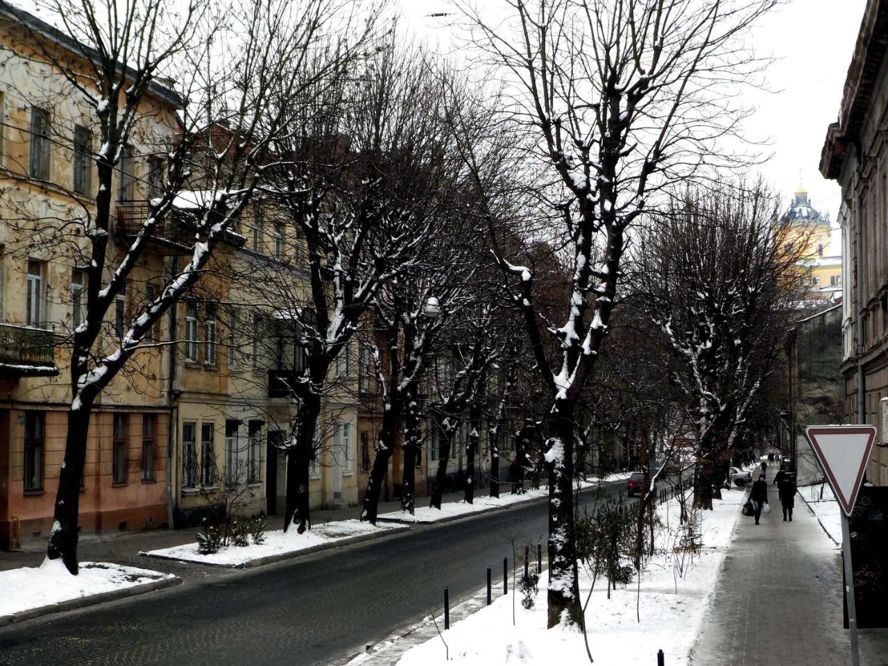 With Dom Studio Apartment Lviv Luaran gambar